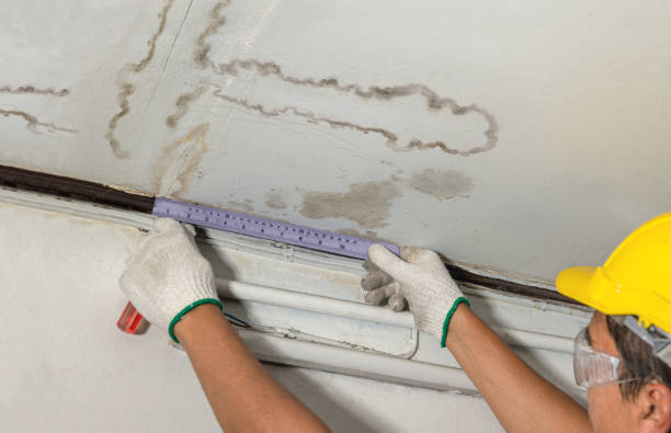 Reliable Water Damage contractor in Clinton, MA by Water Damage Irwin